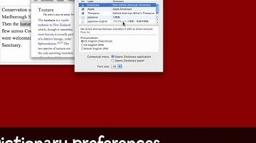 Meet the Snow Leopard Dictionary