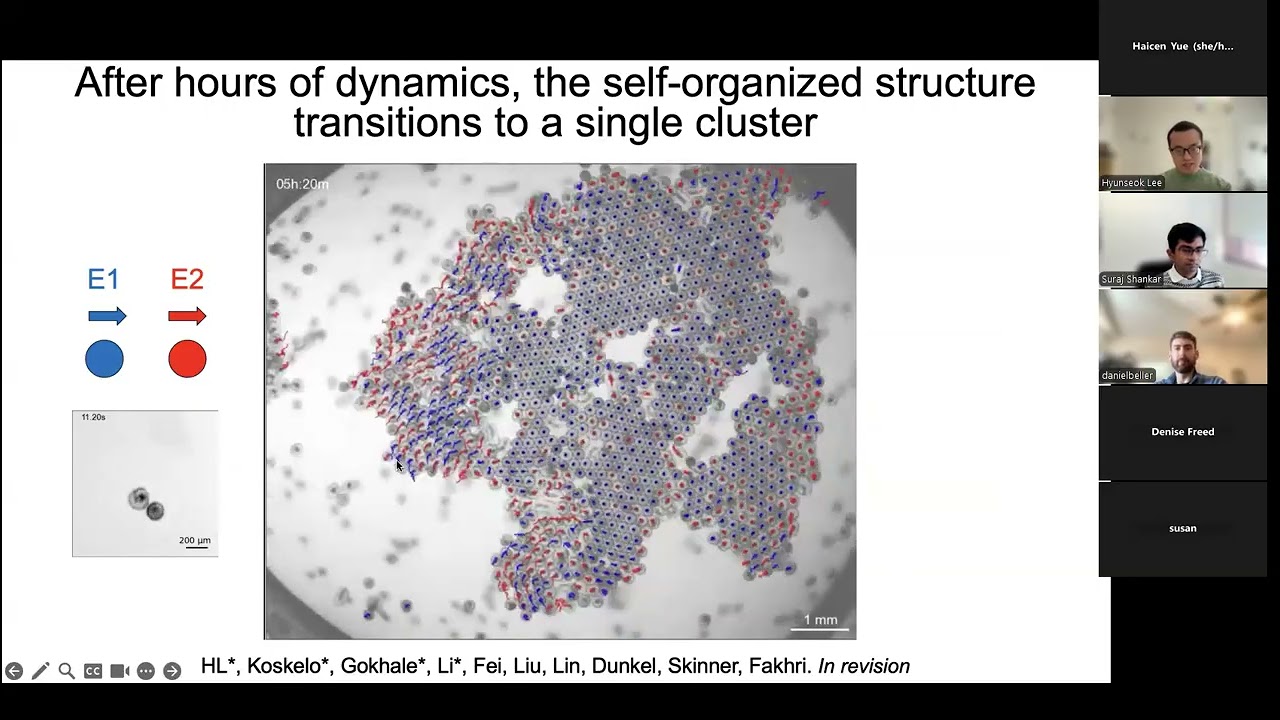 Dr. Hyunseok Lee (MIT): Topological flowscape reveals state transitions...