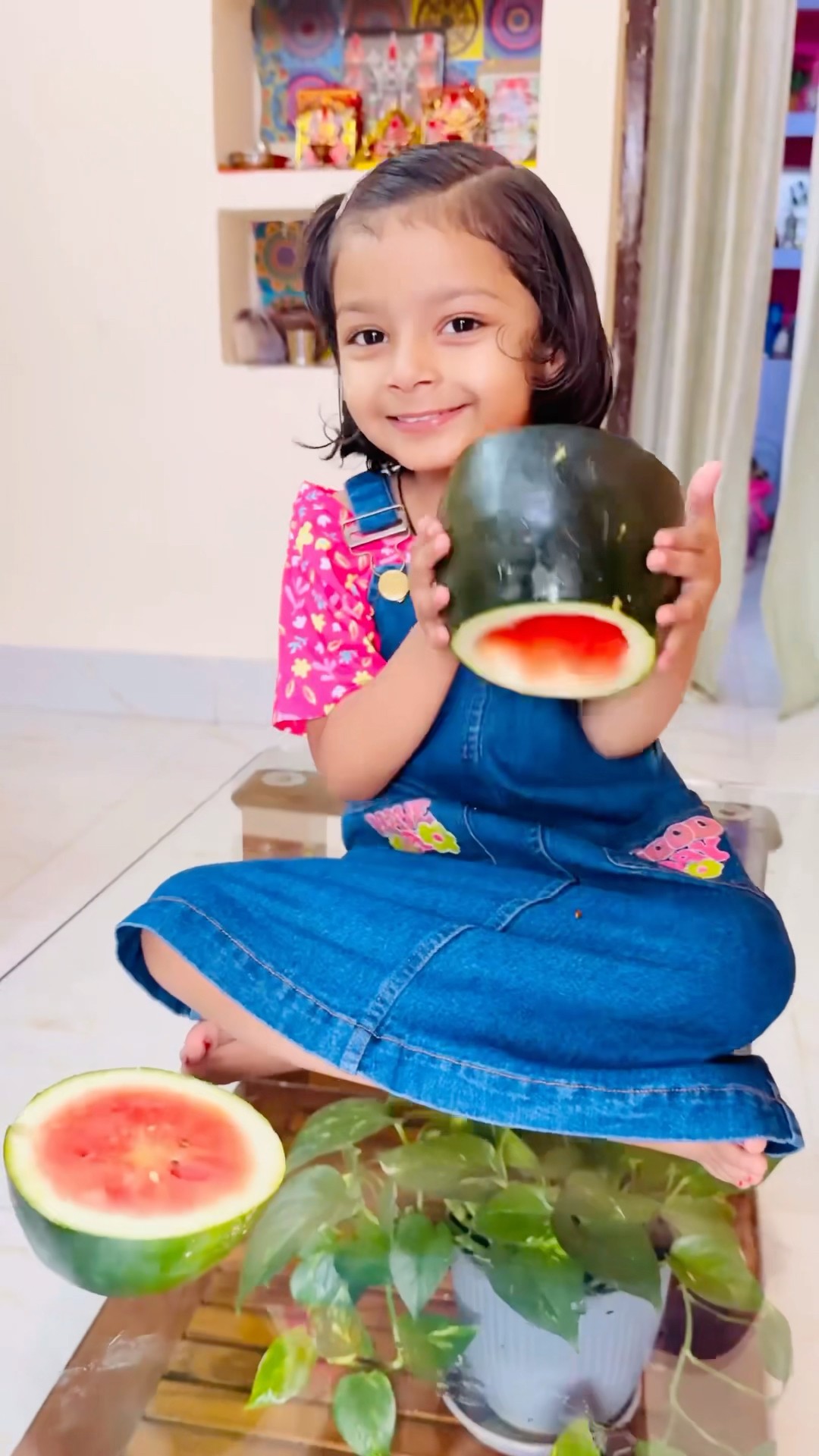 Tooktook watermelon ka bada piece lene me interested nhi h?