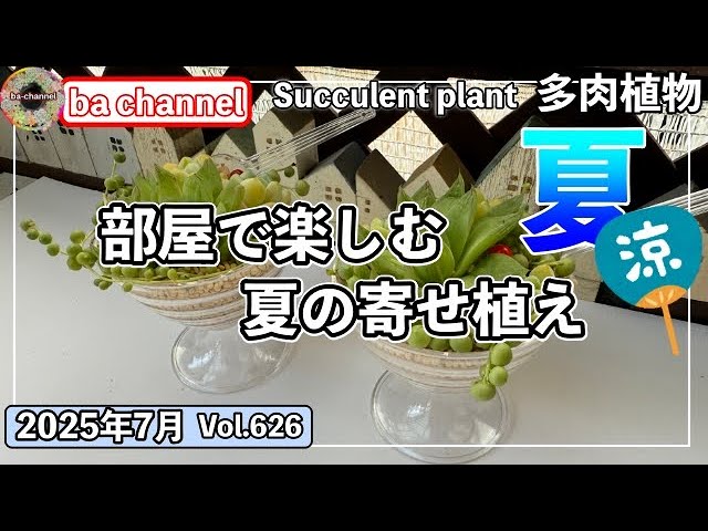 626{Succulents} I tried making a cool summer arrangement in a