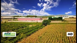 Ekosol Tarim Ve Hayvancilik A.ş. Mani̇sa Fabri̇kasi