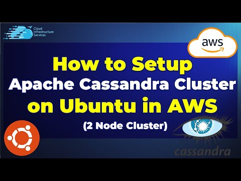 How to Setup