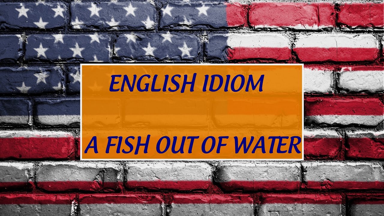 English Idiom A fish out of water - YouTube