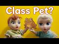 Elsia and Annia School Class Pet! Frozen Elsa &amp; Anna Toddlers