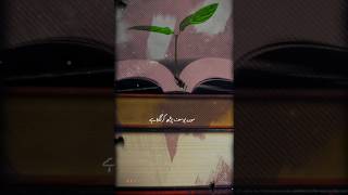 surah Yusuf beautiful line's 💛#d #darood #foryou #viral #trending