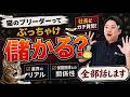 【全部話します。】猫ブリーダーの収入は？猫業界のお金・裏側・保護団体との関係を全部話します！社員が社長にガチ質問！