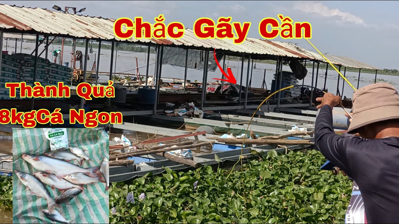 Câu Cá Trên Xuồng, Cần Nhỏ Dính Cá Khủng Kéo Muốn Gãy Cần | Trần Đại Fishing