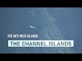 The U.K.'s Wild Islands - The Channel Islands: seals, dolphins, seagrass and conservation