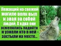 Лежащий на могиле волк отчаянно выл и звал за собой людей. Когда те осмелились подойти и узнали кто