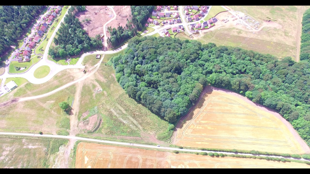 The Beaumont, Wynyard Park