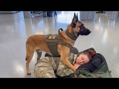When Your Dog Protects You in the Sweetest Way 🐶
