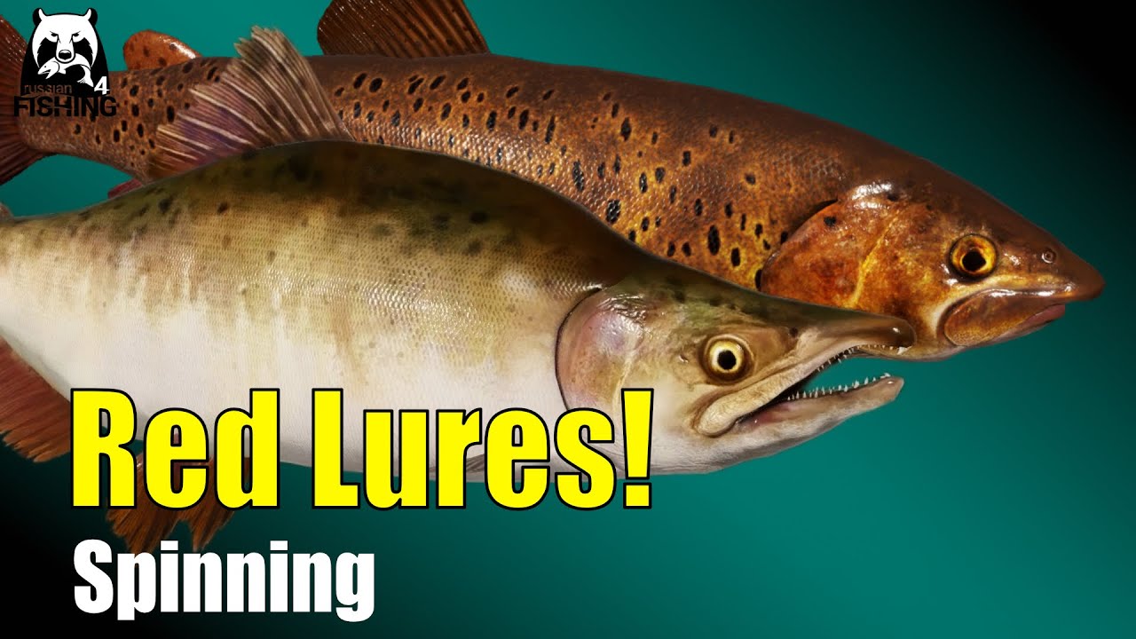 Russian Fishing 4 - Lower Tunguska River - Red lures! Lenok Pink Salmon and Grayling 