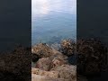 Bright Sunny Afternoon enjoying the #peacefulwaves #god #healingsounds #waves #nature #beach
