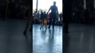 Kamillinha Não Sei Se É O Que Aconteceu E Não Sei O Nome Do Meu Iphone Usando Um Abraço Jfexvjt Hgsd