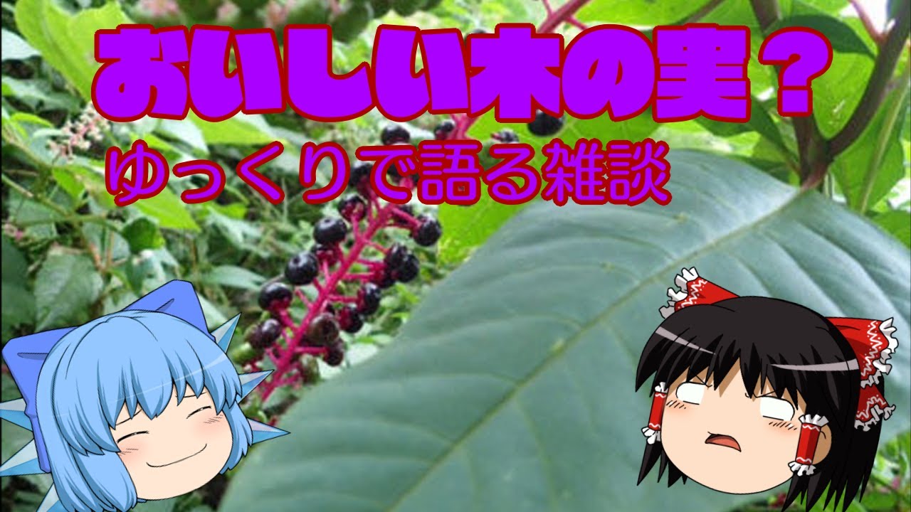 ゆっくりで語る植物 ２３回目 実在する伝説 マンドラゴラ Youtube