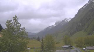 Bucheben: June 01, 2013