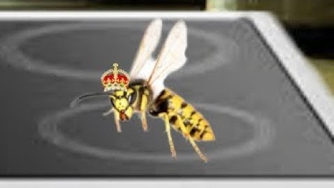 Subtle Foreshadowing bug fables