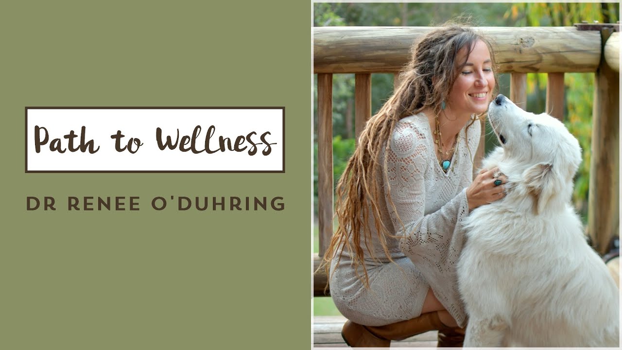 Path to Wellness - Online Video Series for Dog Lovers - Dr Renee O'Duhring