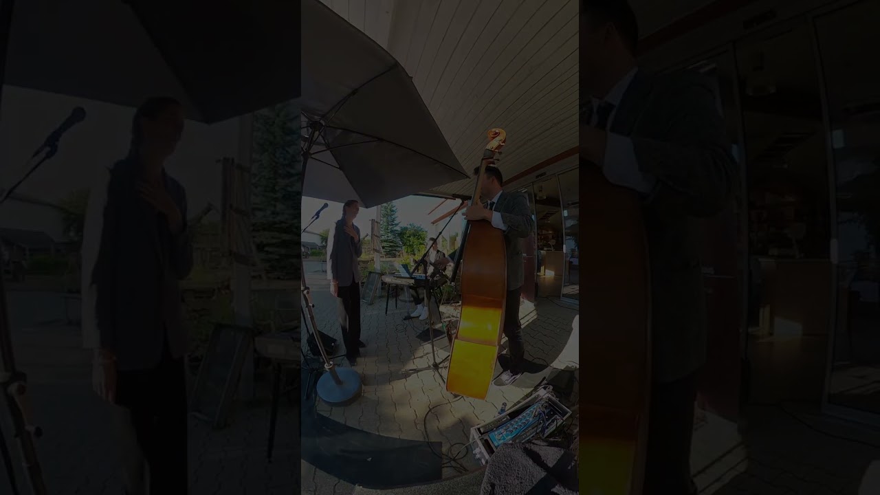 Time After Time HOCHZEITS-VERSION | Hochzeitsband "Trio Merlot" aus Stuttgart LIVE im LandWürth