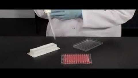 Thermo Scientific Nunc Edge 96-well Plate