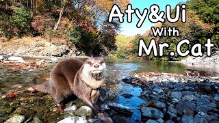 Warm river camping at Kannogawa Campsite with beautiful autumn leaves. [Otter life Day 636]