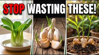 Stop Throwing This Away! 25 Kitchen Scraps That Regrow Into FREE Food 🌱