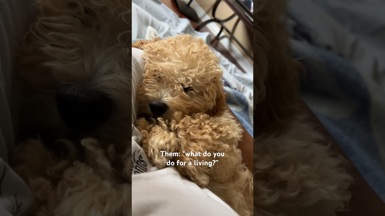 The CUTEST puppy ever 