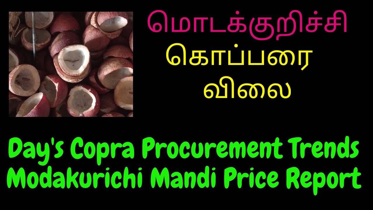 Modakurichi Day's Copra Procurement Trends Modakurichi's Price Report ...