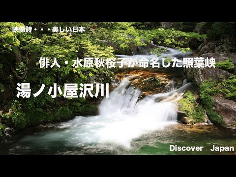 照葉狭・　癒しの映像・俳人・水原秋桜子が命名した照葉狭・湯ノ小屋沢川