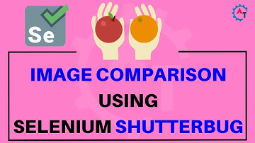 Image Comparison Using Selenium Shutterbug in Selenium Webdriver