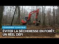 Environnement  garder leau en fort un dfi face au rchauffement climatique