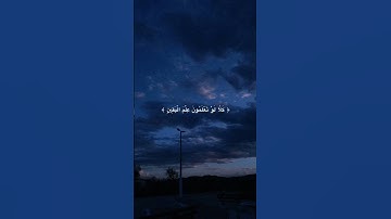 سورة التكاثر ماهر المعيقلي #قرآن #ماهر_المعيقلي #القرآن_الكريم #اكسبلور