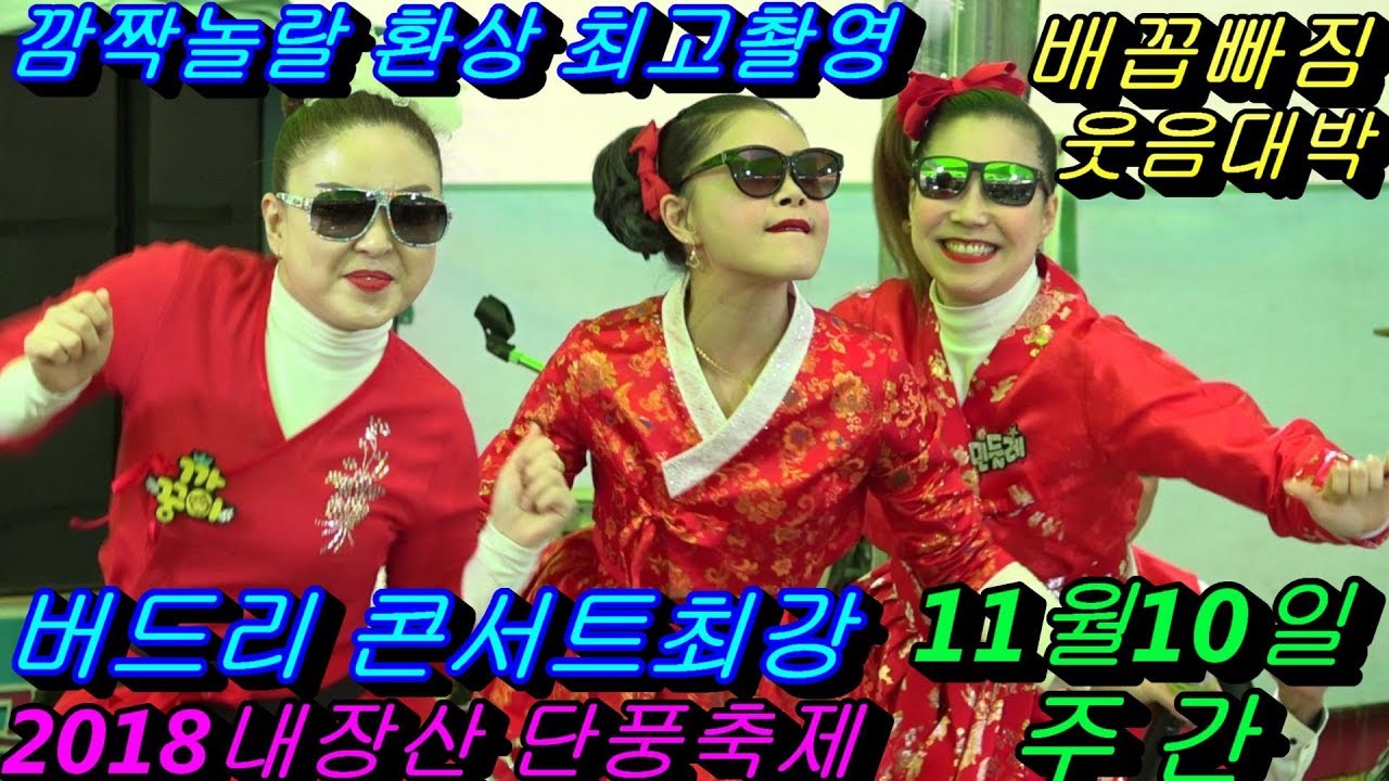 💗버드리 깜짝놀랄 배꼽빠짐웃음대박최고 💗11월10일 주간 2018 내장산 단풍축제 초청 공연