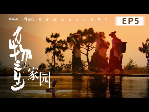 中國-萬物之生-EP 05-家園