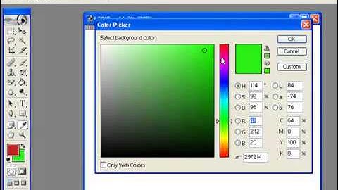 WWW LSOIT IN PHOTOSHOP7 VIDEO TUTORIALS IN HINDI AND ENGLISH MIX Language