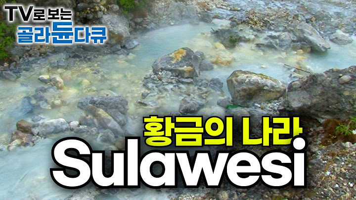 말 그대로 일확천금을 꿈꾸는 그들.ㅣ인도네시아의 숨겨진 황금 섬 술라웨시 사람들 3천 명이 골드러시를 꿈꾸는 이유ㅣ극한직업│#골라듄다큐
