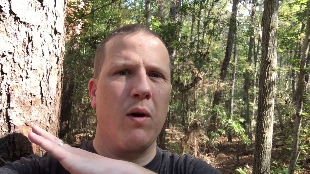 Avenging a DNF for a FTF