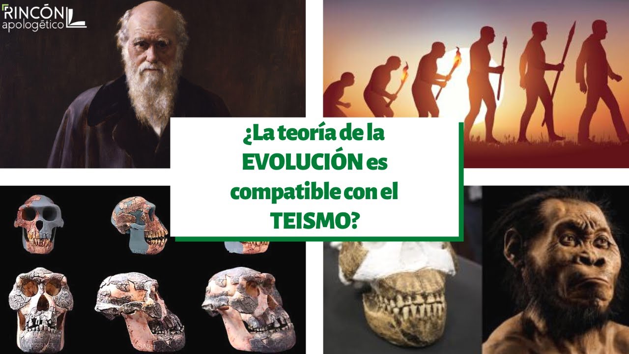 ¿La teoría de la Evolución es compatible con el Teísmo?