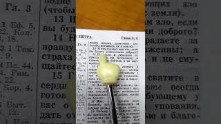 Библейские учения #streamlight #кино #высветмиру #милость