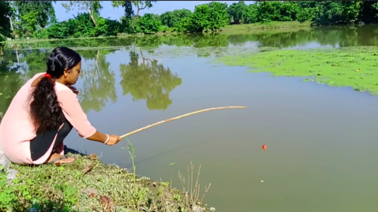 Fishing Video || Amazing Fish Found in One Day with Simple Bait || Traditional Fish Trap 