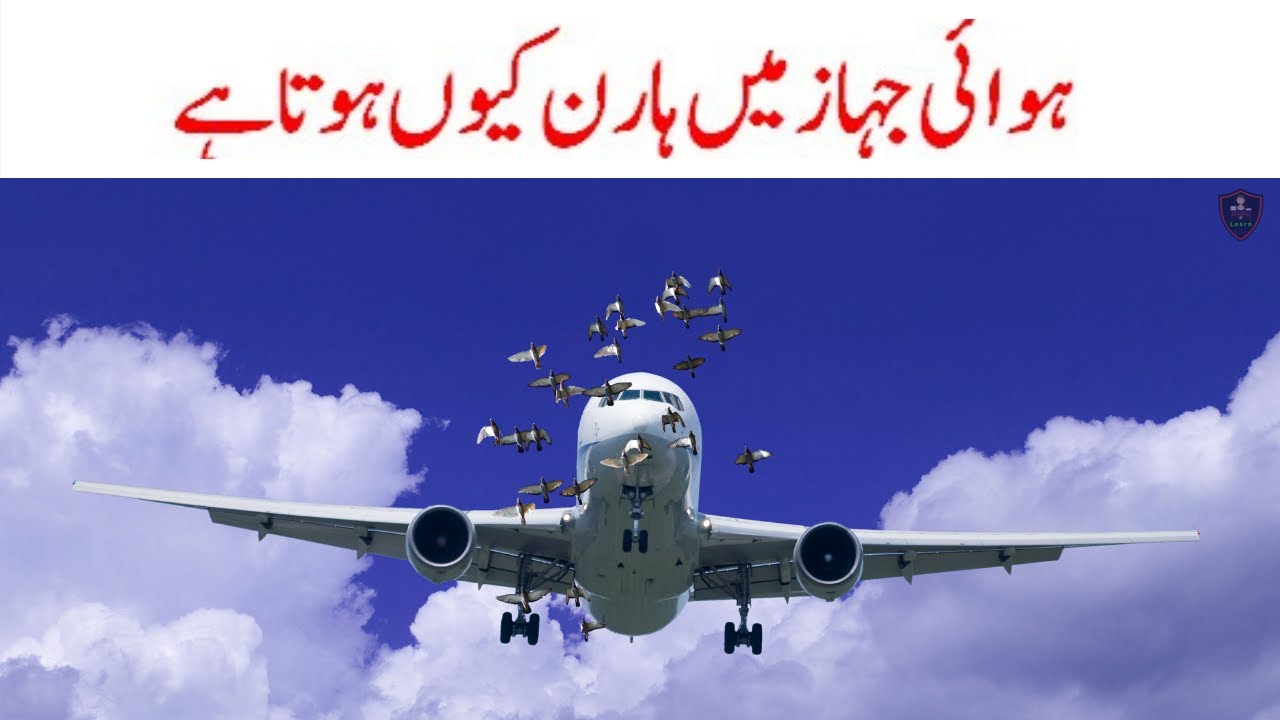 ️ ️Why does an airplane have a horn?🤔kya aeroplane mein horn laga