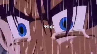 When Ninja Died...