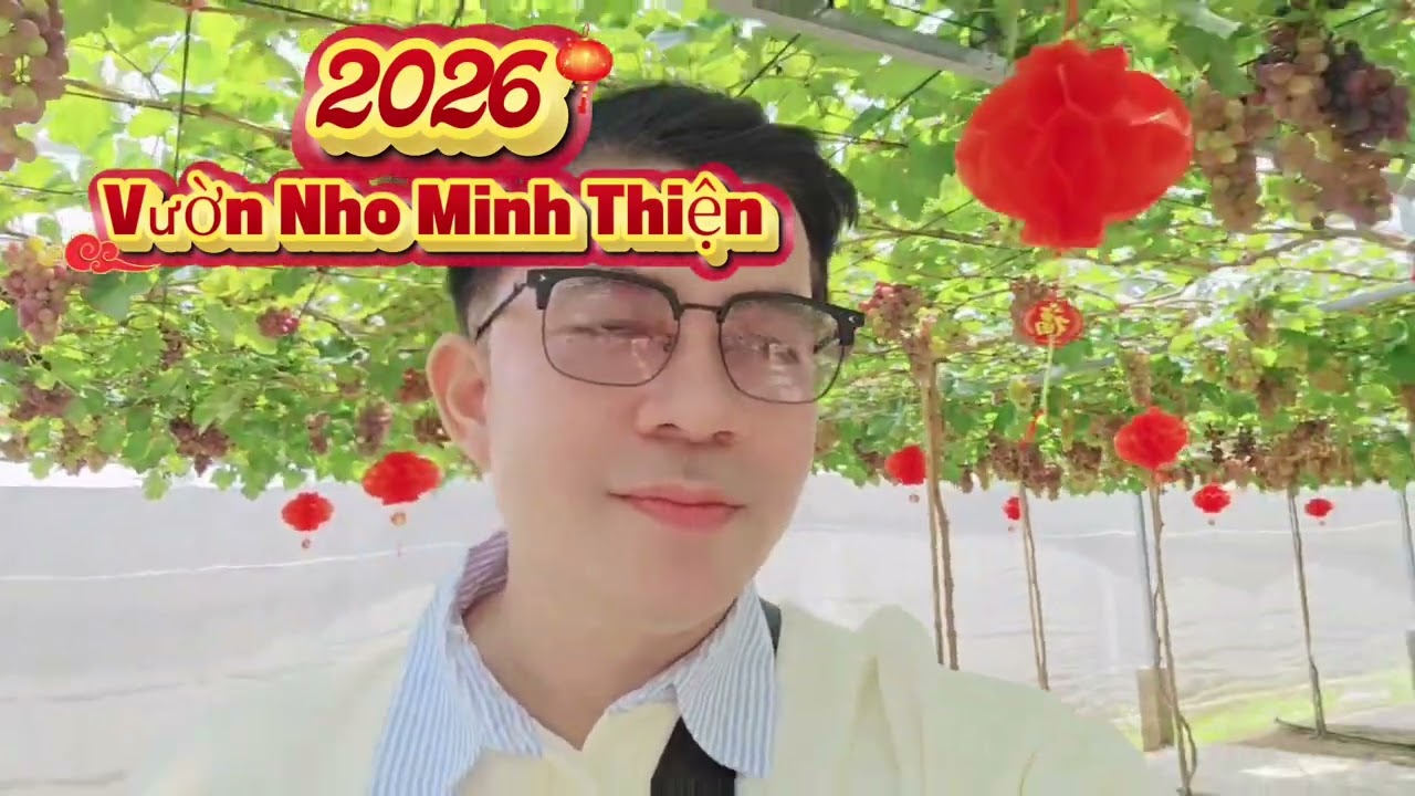 VƯỜN NHO MINH THIỆN ĐƯỜNG MẠC ĐỈNH CHI PHƯỜNG PHÚ LỢI TP CẦN THƠ 