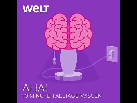 WELT Podcast