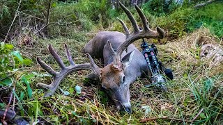 Epic Alberta Bow Hunt | Dream Buck of a Lifetime in Full Velvet