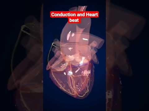 كهربائية ونبض القلب