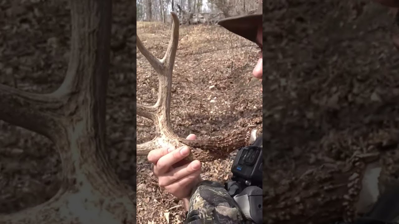 Bigfoot Research In Southern Missouri They Follow The Food And Waterways Nature Shed