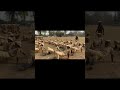 odisha police constable training #odishapolice #odishapolicesiexam #shorts #short #short #shortvideo