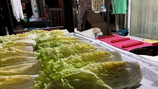 【ルンルンの裏庭】白菜漬けを仕込むお父さんを警護しているルンルンとアラン