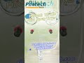 Pilotech YC-019 Pilot Spray Dryer --Suitable for Materials Such As Catalysts, Ceramics #labequipment